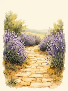 Stone Path
