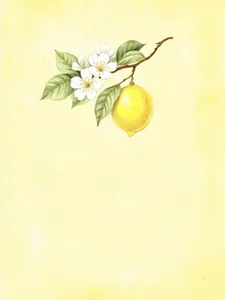 Lemon Blossom