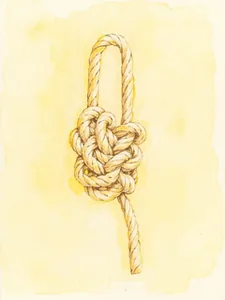 Sailor Knot