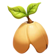 Seed