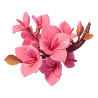 Bougainvillea Branch