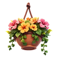 Hanging Basket
