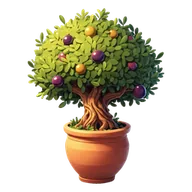 Olive Tree