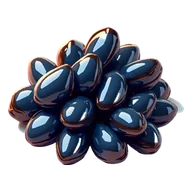 Mussels