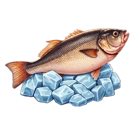 Sea Bass